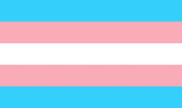 Trans flag